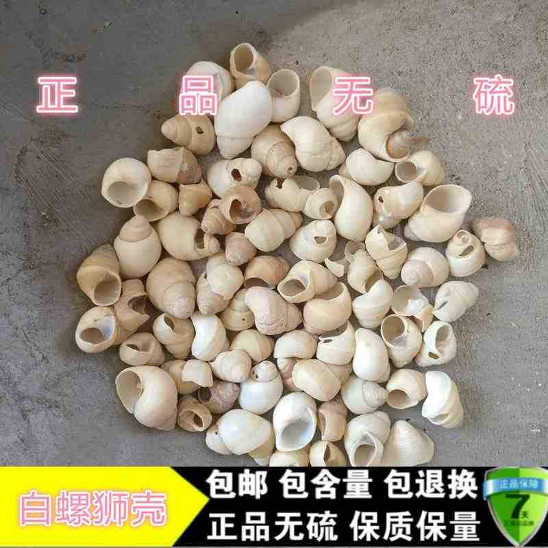 白螺蛳壳