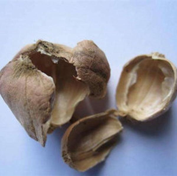 豆蔻壳