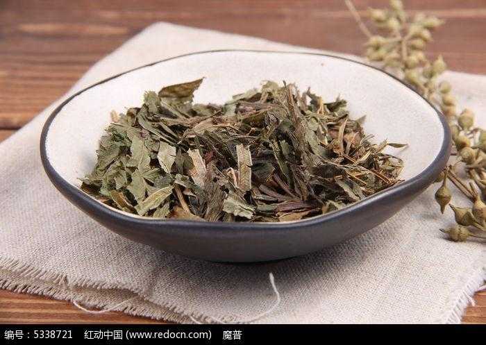 凤尾草