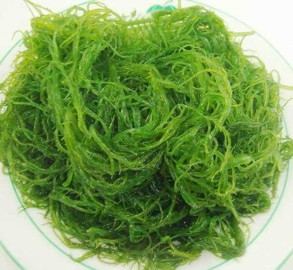 海发菜