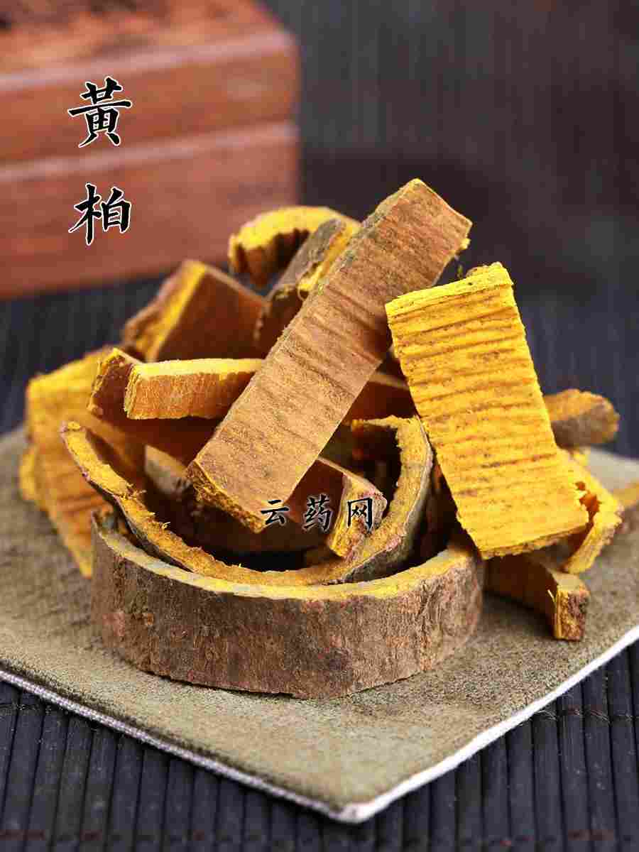 黄柏