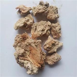 胡桐泪