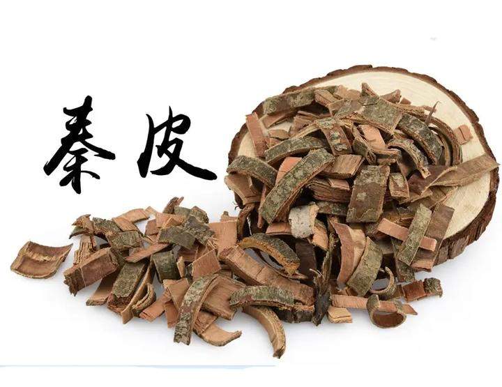 秦皮
