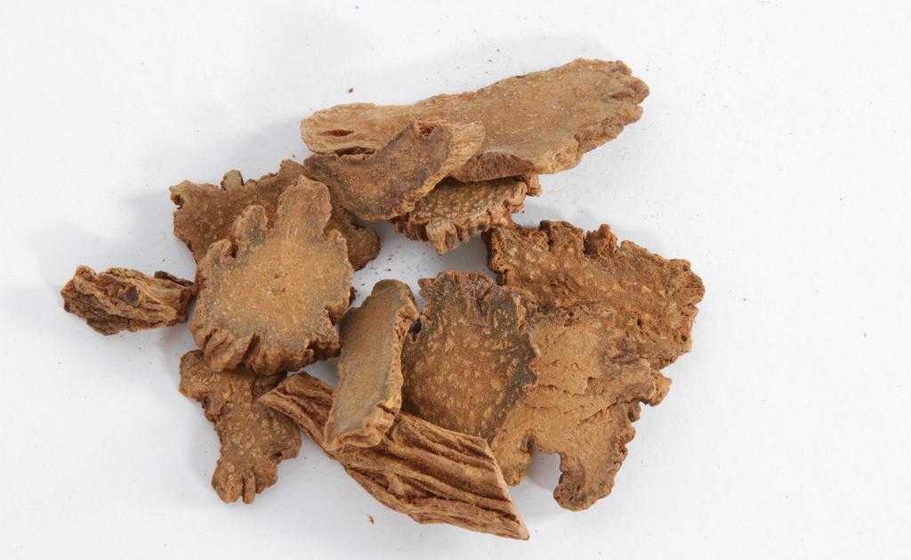 锁阳