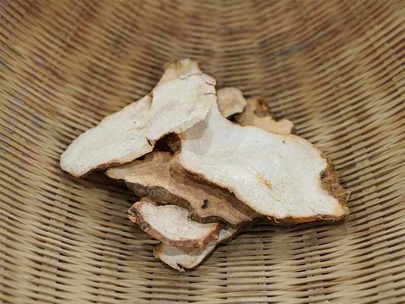 土茯苓