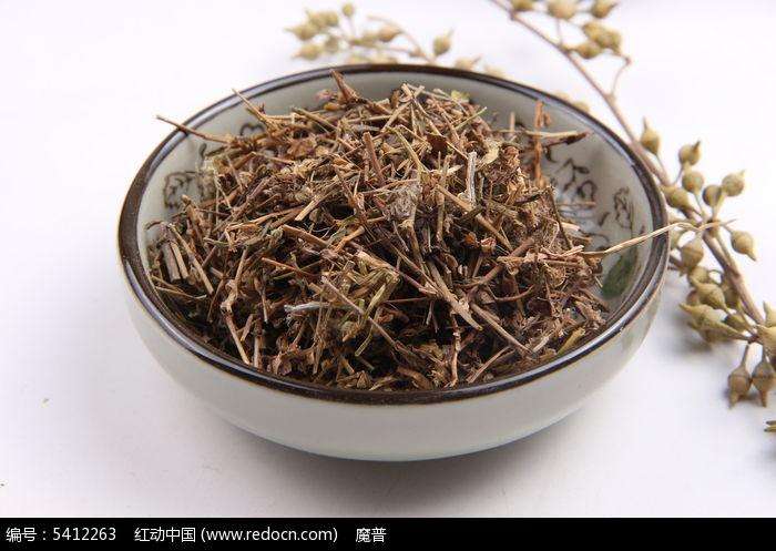 仙桃草