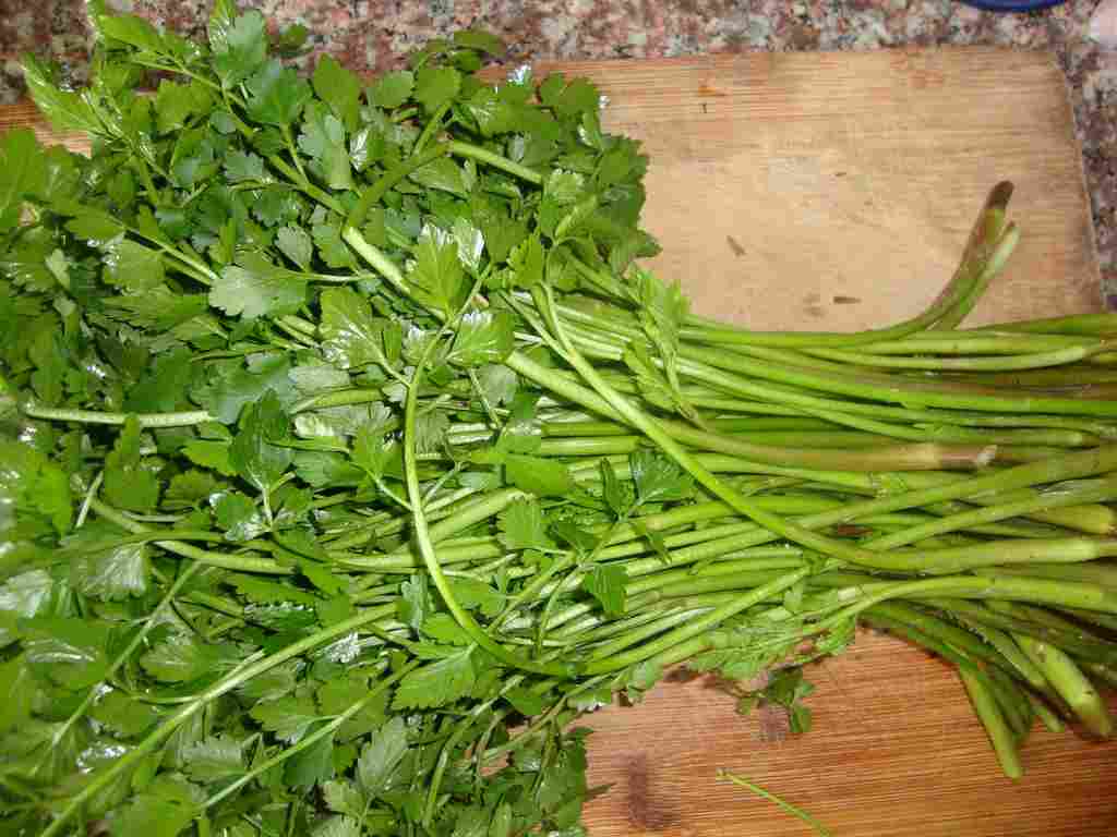 野芹菜