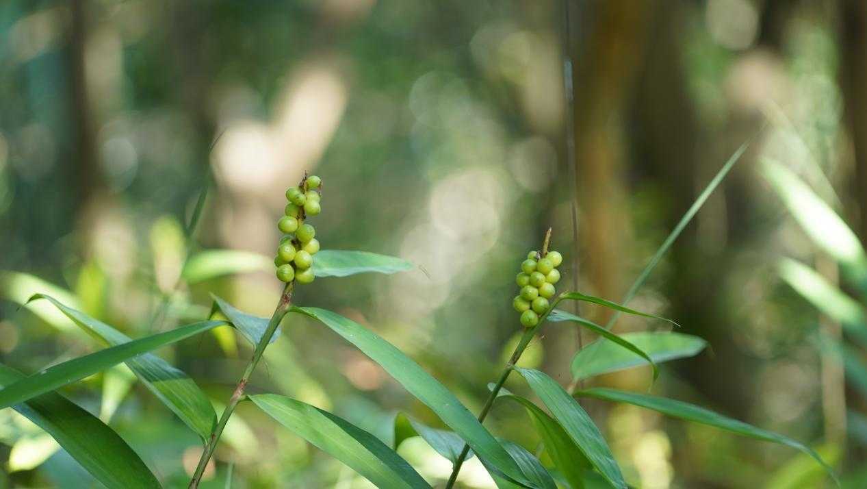 益智