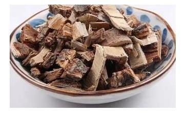 榆白皮