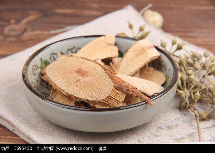 栀子根