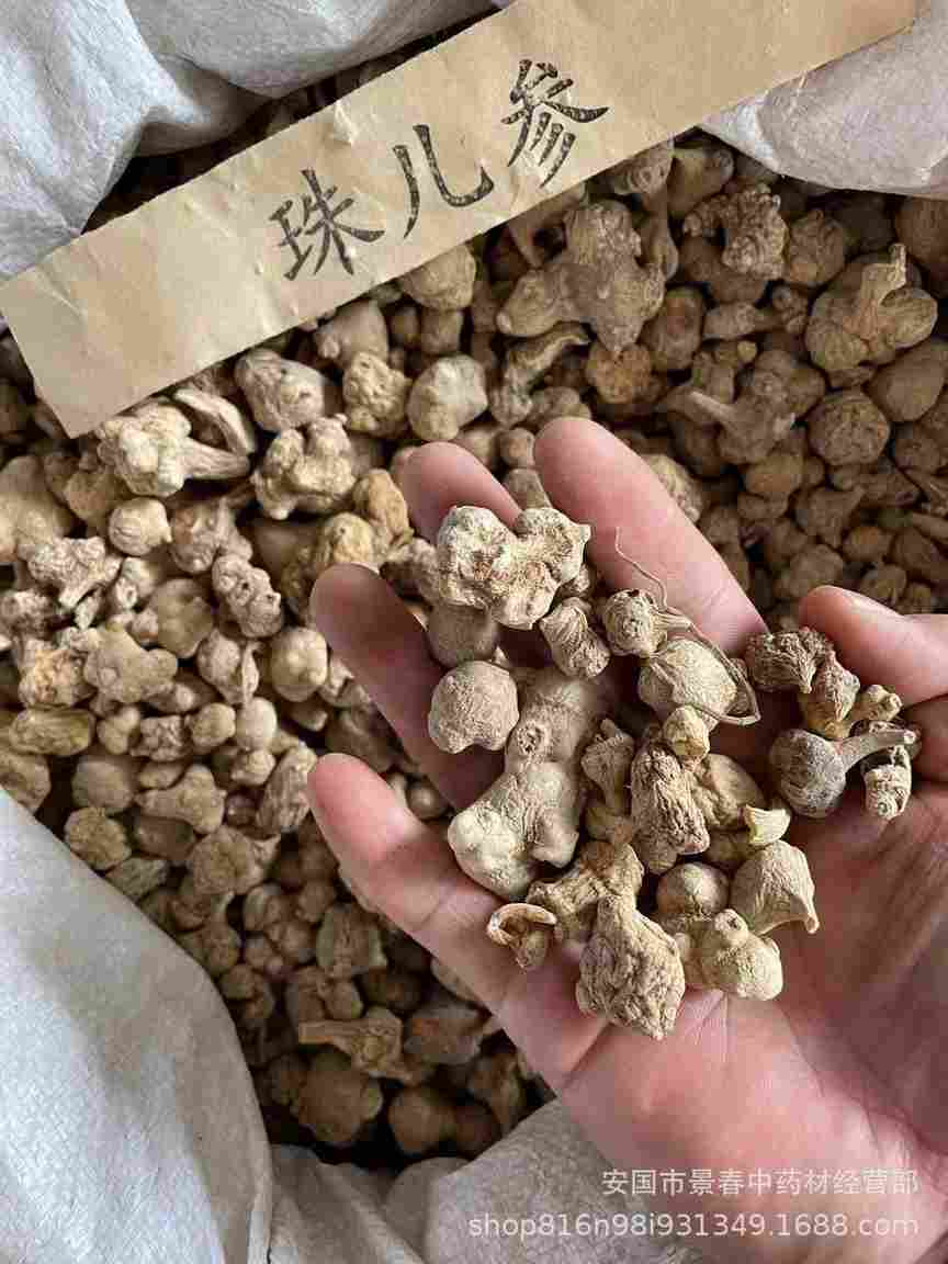 珠子参