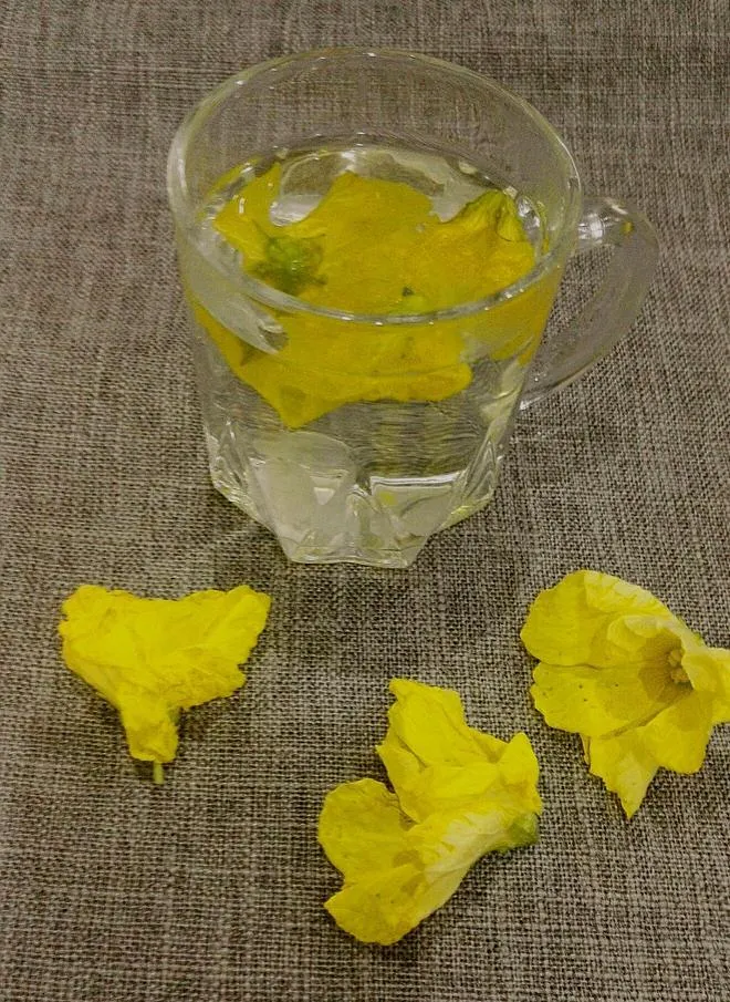 丝瓜茶