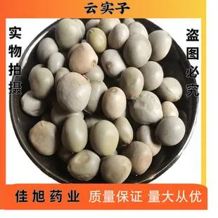 天豆