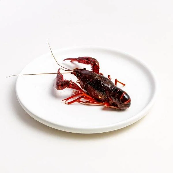 小龙虾
