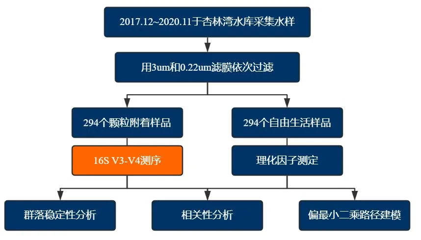 亚热带盐