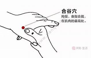 合谷穴
