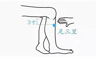 足三里